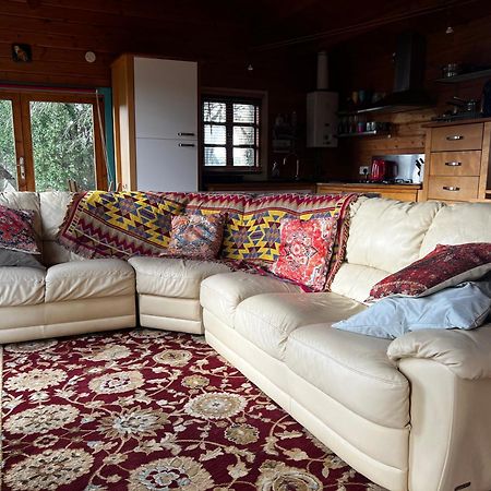 Tudor Lodge With Pool & Bbq Cabin Liskeard Εξωτερικό φωτογραφία