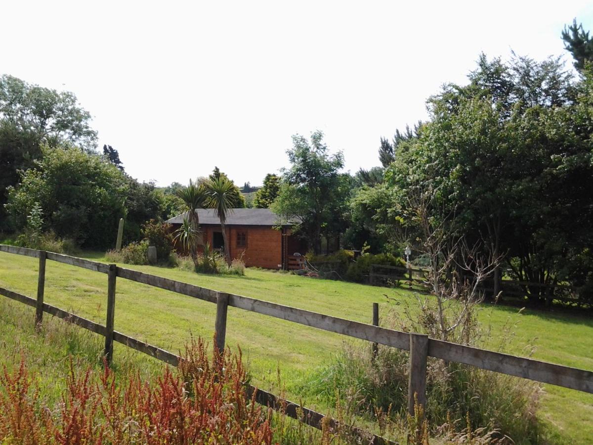 Tudor Lodge With Pool & Bbq Cabin Liskeard Εξωτερικό φωτογραφία